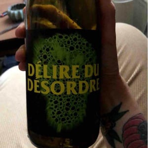 Délire Du Désordre - No Control - vincent-marie