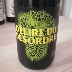 Délire Du Désordre - No Control - vincent-marie