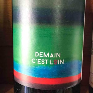 Demain C’est Loin - Domaine de l'Astré - aude-duval-et-sylvain-ohayon -2021