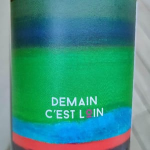 Demain C’est Loin - Domaine de l'Astré - Aude Duval et Sylvain Ohayon -2021
