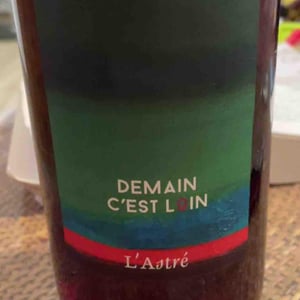 Demain C’est Loin - Domaine de l'Astré - Aude Duval et Sylvain Ohayon -2021
