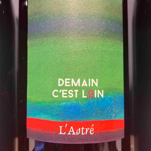Demain C’est Loin - Domaine de l'Astré - Aude Duval et Sylvain Ohayon -2021