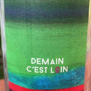 Demain C’est Loin - Domaine de l'Astré - Aude Duval et Sylvain Ohayon -2021
