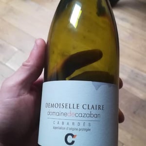 Demoiselle Claire 2016