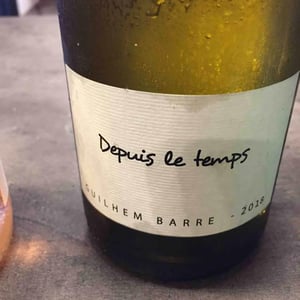 Depuis Le Temps - Guilhem Barré - guilhem-barre