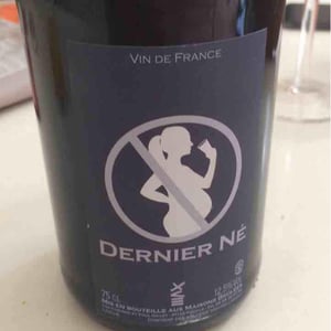 Domaine des Maisons Brûlées - Corinne & Paul Gillet - Dernier Né (rouge)