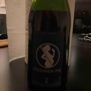 Domaine des Maisons Brûlées - Corinne & Paul Gillet - Dernier Né (rouge)