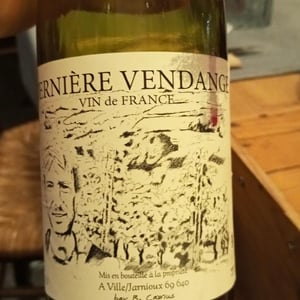 Dernière vendange - Benoit Camus - Benoit Camus -2023