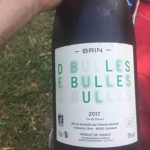 Domaine de Brin - Damien Bonnet - Des Bulles