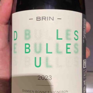 Des Bulles - Domaine de Brin - Damien Bonnet 