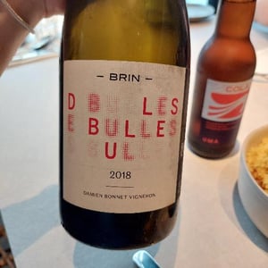 Des Bulles Rouge - Domaine de Brin - Damien Bonnet -2018
