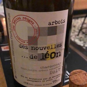 Des Nouvelles De Léon - Les Bottes Rouges - Florien Klein Snuverink & Jean-Baptiste Menigoz 