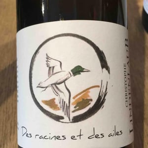 Lindenlaub - Christophe Lindenlaub - Des Racines Et Des Ailes