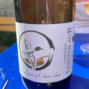 Des Racines Et Des Ailes - Lindenlaub - Christophe Lindenlaub 