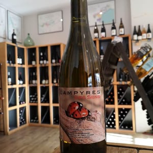 Des Sens - Domaine Lampyres - francois-xavier-daure