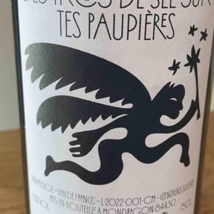 Des traces de sel sur tes paupières - Les Assoiffées d’Azur - Nicolas Fulconis 