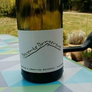 Descente Dangereuse - Domaine La Vigne Mouton - margaux-calland-valentin-richoux