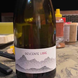 DESCENTE LIBRE - Julien Sunier - Julien Sunier -2023