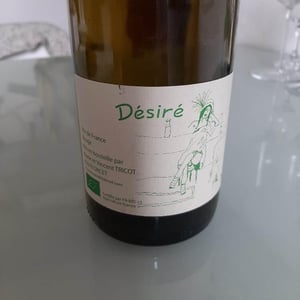 Marie et Vincent Tricot - Vincent et Marie Tricot - Désiré