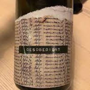 Desobedient - Mas de la Caçadora - Joan Pujades Giné 