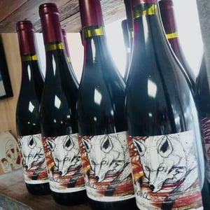 Désobéissance - Domaine les Gragnotes - benoit-guillot-erika-mazer