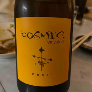 Desti - Còsmic Vinyaters - Salvador Batlle Barrabeig 