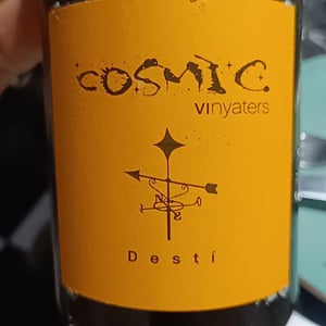 Desti - Còsmic Vinyaters - salvador-batlle-barrabeig