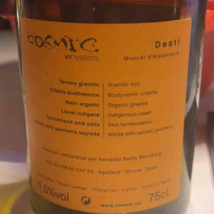 Desti - Còsmic Vinyaters - salvador-batlle-barrabeig