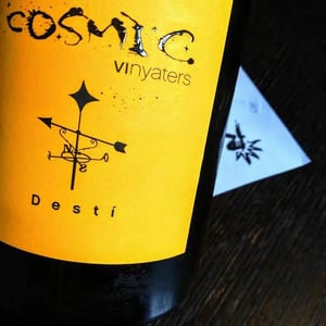 Desti - Còsmic Vinyaters - salvador-batlle-barrabeig