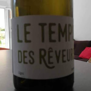 Détroits - Le Temps Des Rêveurs - Jérôme Maillot 