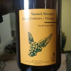 Deux couleurs : Orange - Yannick Meckert - yannick-meckert -2020