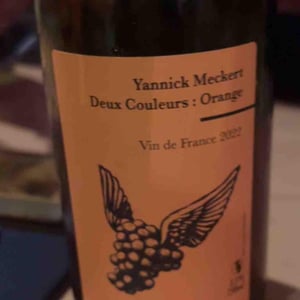 Deux couleurs : Orange - Yannick Meckert - Yannick Meckert -2020