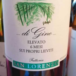 Di Gino (bianco) - Fattoria San Lorenzo - Natalino Crognaletti 