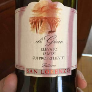 Di Gino (rosso) - Fattoria San Lorenzo - Natalino Crognaletti 