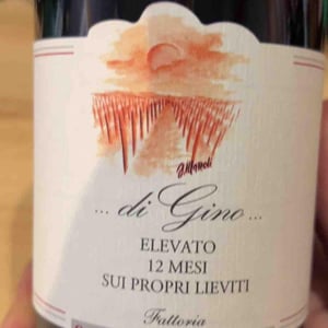 Di Gino (rosso) - Fattoria San Lorenzo - natalino-crognaletti