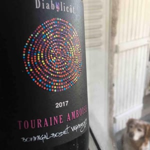 Diabolicôt - Domaine Bonnigal-Bodet - jean-baptiste-bonnigal-stephane-bodet