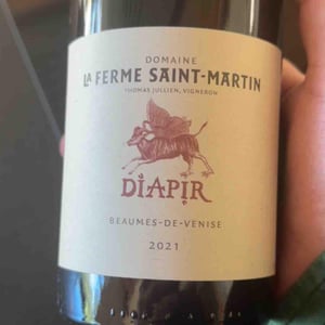 Diapir - La Ferme Saint-Martin - Les Vins de Thomas - sophie-thomas-jullien -2018