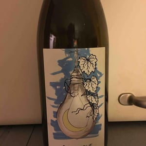Diciannove - Lumiluna Casa Vinicola - Giulio Rinaldi & Luca Bigicchia 