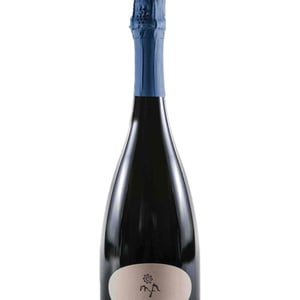 Die Leidenschaft Prickelnd - Weingut Martin & Anna Arndorfer - martin-anna-arndorfer -2017