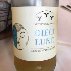 Dieci Lune - Vitivinicola Villa - vitivinicola-villa