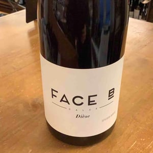 Dièse - Face B - severin-barioz-mathilde-barioz-ceccon