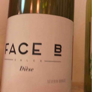 Dièse - Face B - severin-barioz-mathilde-barioz-ceccon
