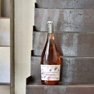 Divago - Cantine Riccardi Reale - Piero Riccardi & Lorella Reale 