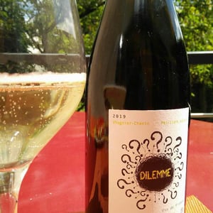 Dilemme - Domaine Les Pierres Écrites - anthony-rassin-et-coralie-houarner-rassin