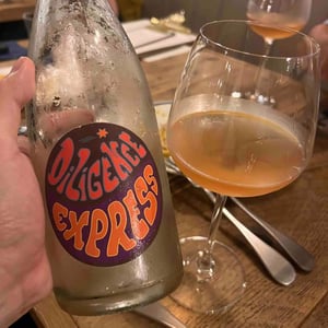 Raisin Sauvage - Emilien Revers - Diligence Express Orange