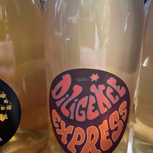Diligence Express Blanc - Raisin Sauvage - Emilien Revers -2022