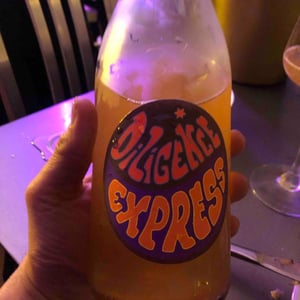 Diligence Express Orange - Raisin Sauvage - Emilien Revers 
