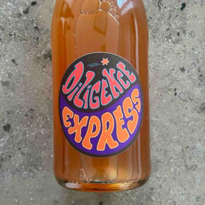 Diligence Express Orange