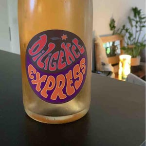 Raisin Sauvage - Emilien Revers - Diligence Express Orange