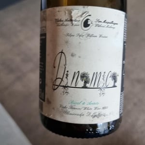 Dinamica Branco - Filipa Pato - Filipa Pato & William Wouters 